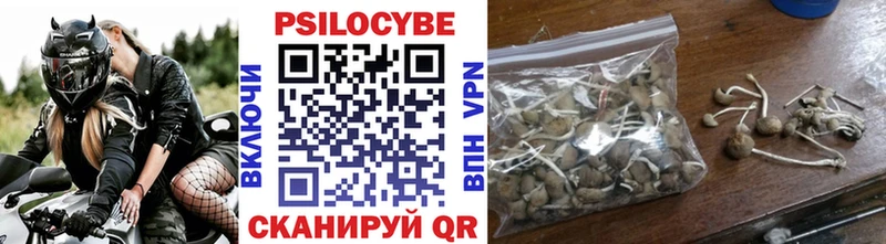 Галлюциногенные грибы Psilocybine cubensis  Бийск 